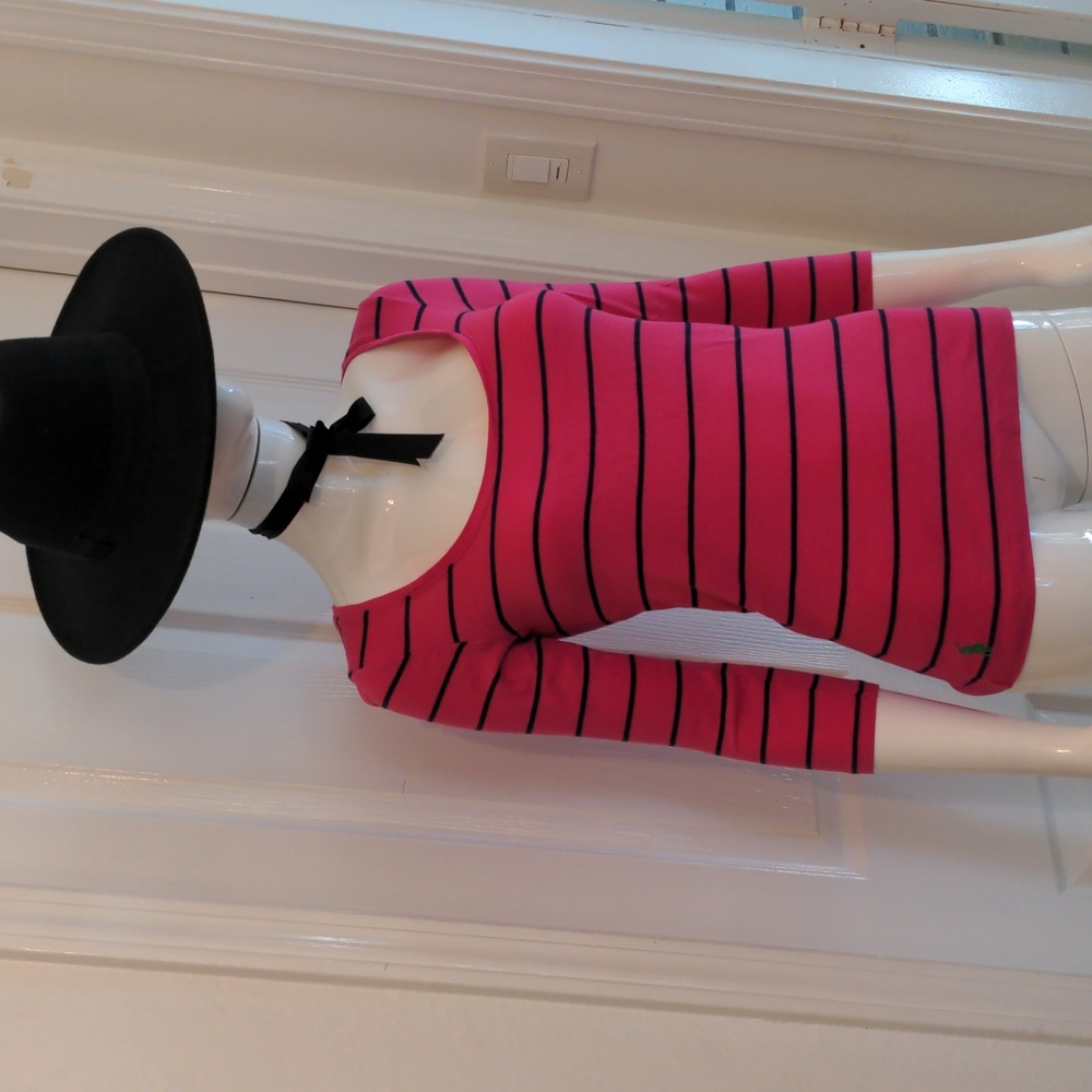 Ralph Lauren Pink Blue Stripe Long Sleeve Scoope Neck Top Small